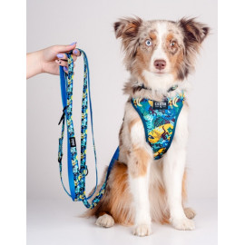 CHABA Smycz regulowana Story III M 20mm/260cm Carnival