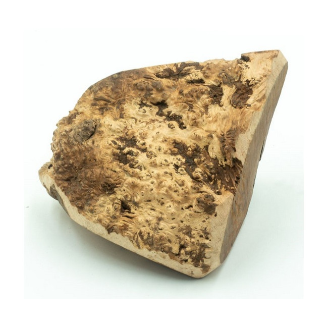 4DOGS Gryzak z korzenia drzewa wrzosowego L