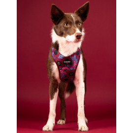 CHABA Szelki Guard Comfort Story III bezuciskowe S 1,6cm Lakota