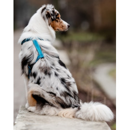 CHABA Szelki Guard Comfort Classic M morskie