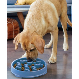 Outward Hound Fun Feeder Miska spowalniająca niebieska [67831]