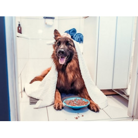 LickiMat Splash miska z przyssawką turkusowa