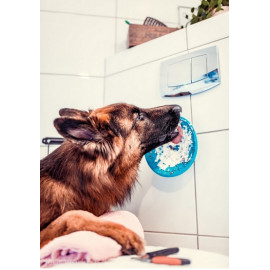 LickiMat Splash miska z przyssawką turkusowa