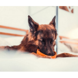 LickiMat Wobble Miska głęboka Jeżyk miękka pomarańczowa