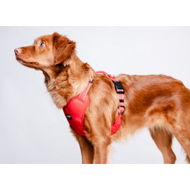 CHABA Szelki Guard Comfort Classic S czerwone