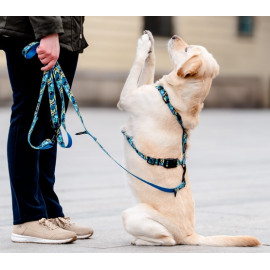 CHABA Smycz regulowana Story III S 16mm/260cm Carnival