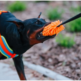 Dingo Zabawka dla psa - Szarpak Mop z rączką bungee pomarańczowy