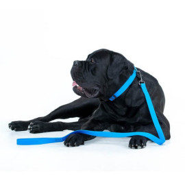 Collar Waterproof Smycz wodoodporna L-XXL 25mm/183cm niebieska