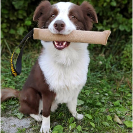 Dingo Zabawka dla psa - Szarpak z juty z uchwytem 40/6cm