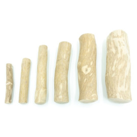 4DOGS Gryzak z drzewa kawowego XL