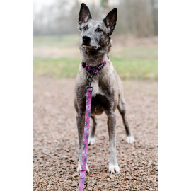 CHABA Smycz regulowana Story III S 16mm/260cm Lakota