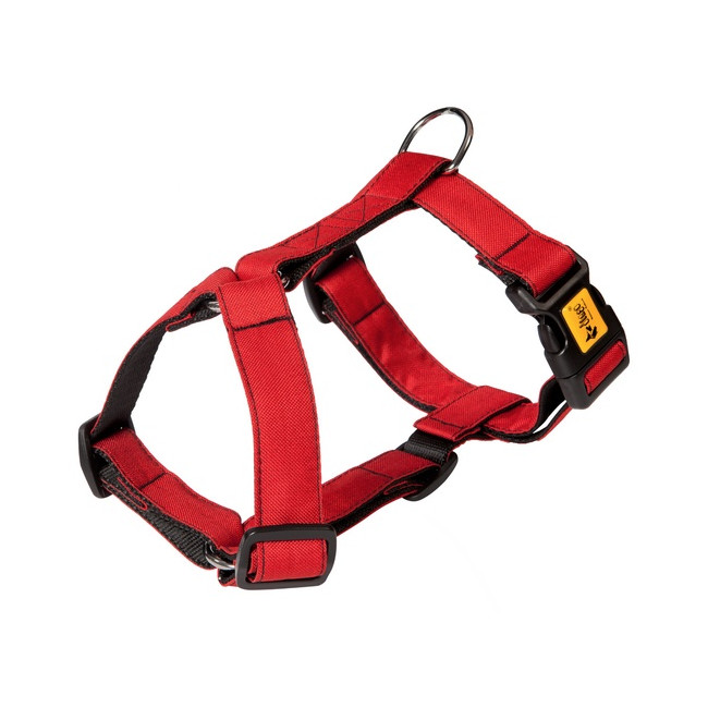 Dingo Szelki Guard dwupaskowe Scandi 2cm rozmiar S czerwone