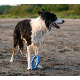 Kiwi Walker Let's Play Ring Maxi niebieski