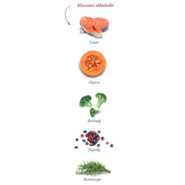 Amanova Dog Adult Mini Sensitive Salmon Deluxe - łosoś 800g