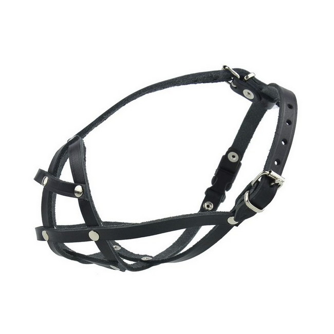 Champion Kaganiec skórzany dla buldoga francuskiego 2 [BF]