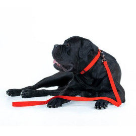 Collar Waterproof Smycz wodoodporna M 20mm/183cm czerwona