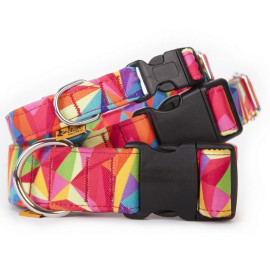 Dingo Obroża regulowana America Kolorado 3,0cm/60cm