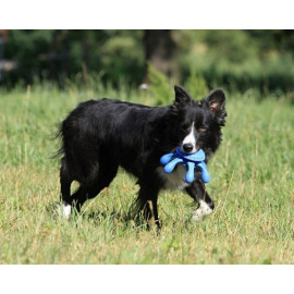 Kiwi Walker Let's Play Octopus Mini ośmiornica niebieska