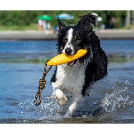Kiwi Walker Let's Play Zeppelin Mini aport pomarańczowy