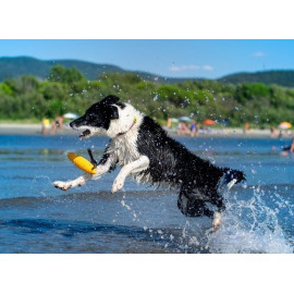 Kiwi Walker Let's Play Zeppelin Mini aport pomarańczowy