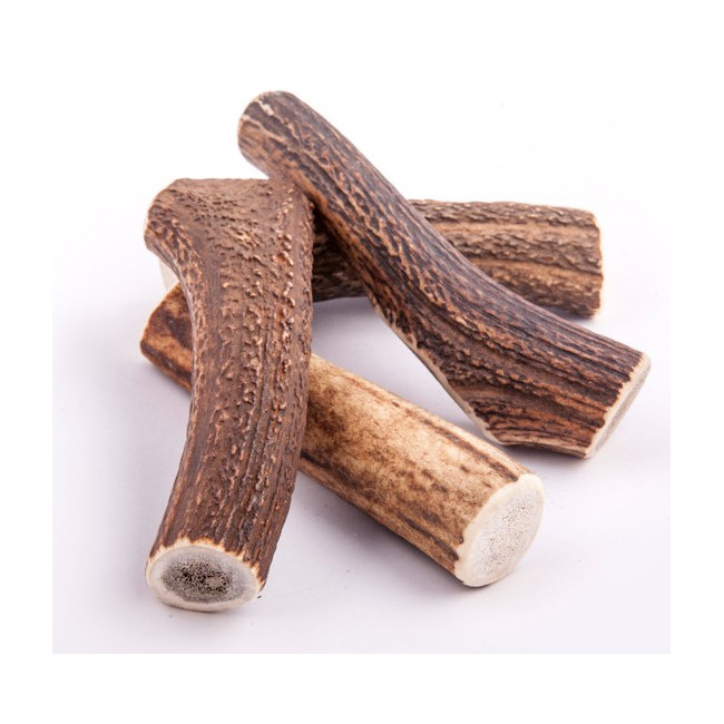 4DOGS Gryzak z poroża XL hard