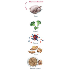 Amanova Dog Adult Mini Obesity Turkey Delight - indyk 800g