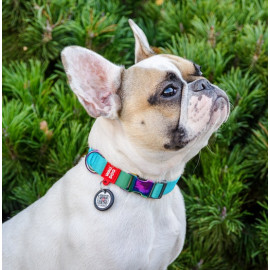 Collar WauDog Recycled Obroża nylonowa z QR-paszportem, gradient L 25mm/33-49cm niebieski