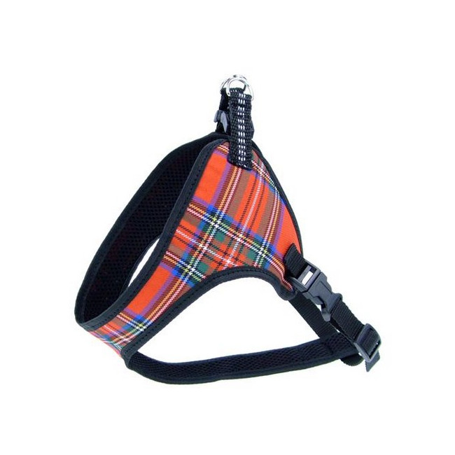 Champion Szelki taśma 40 komfort [TSZ]