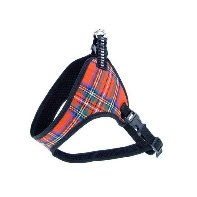 Champion Szelki taśma 35 komfort [TSZ]