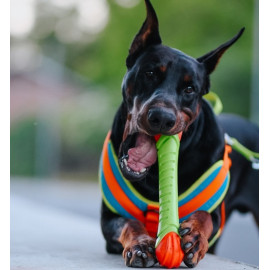 Dingo Zabawka dla psa - Guma TPR - Aport Dent 30cm