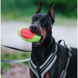 Dingo Zabawka dla psa - Guma TPR - Rugby Dent 17cm