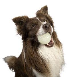 Kiwi Walker Let's Play Glow Ball Mini piłka