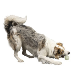 Kiwi Walker Let's Play Glow Ball Mini piłka