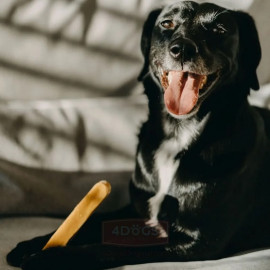 4DOGS Gryzak z sera himalajskiego Churpi Original L