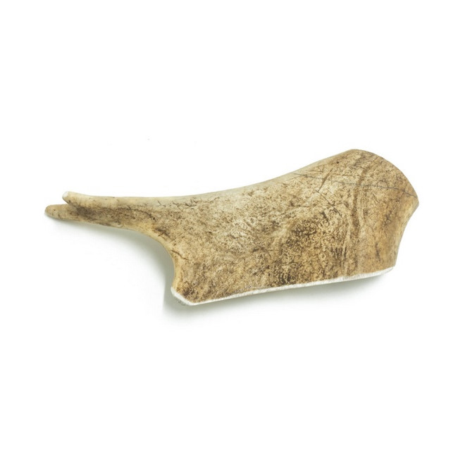 4DOGS Gryzak z poroża daniela L