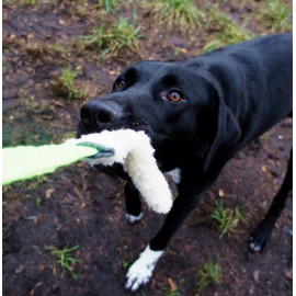 Dingo Zabawka dla psa - Szarpak Wełna owcza z rączką bungee zielony