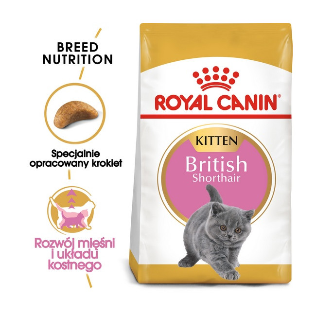 Royal Canin British Shorthair Kitten karma sucha dla kociąt, do 12 miesiąca, rasy brytyjski krótkowłosy 400g