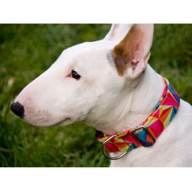 Dingo Obroża regulowana America Kolorado 2,0cm/45cm