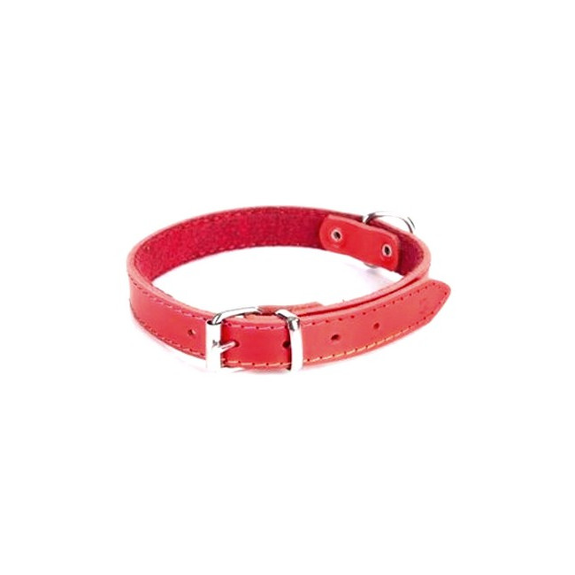 Dingo Obroża skórzana podszyta filcem 2,5x60cm czerwona
