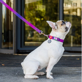 Collar WauDog Recycled Obroża nylonowa z QR-paszportem, gradient M 20mm/28-40cm fioletowy