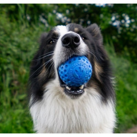 Kiwi Walker Let's Play Ball Maxi piłka niebieska