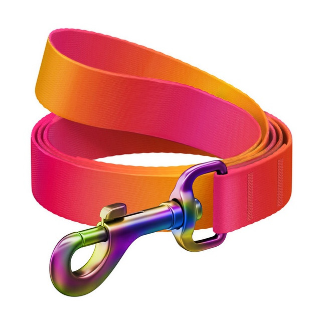 Collar WauDog Recycled Smycz nylonowa, gradient L-XXL 25mm/122cm pomarańczowy