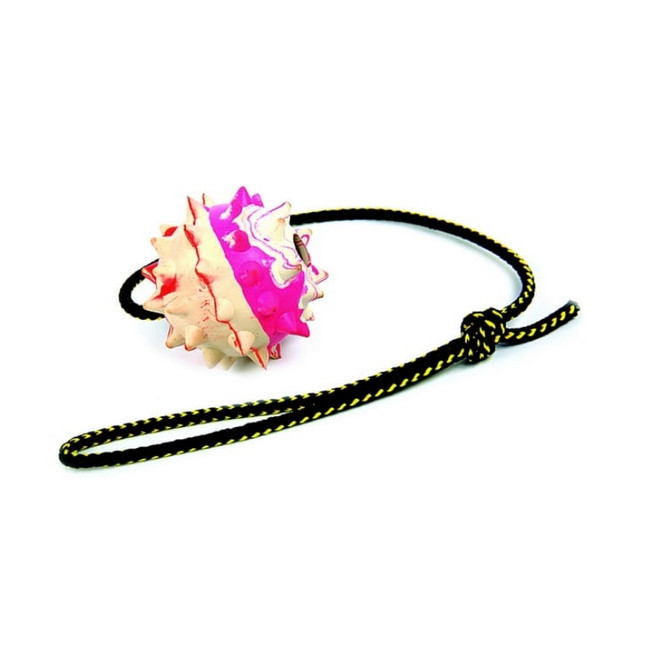 Dingo Zabawka dla psa - Piłka duża gumowa z kolcami na sznurze 60cm