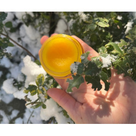 Francodex Biodene Balsam regenerujący i nawilżający dla zwierząt 50ml