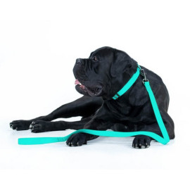 Collar WauDog Waterproof Obroża wodoodporna z QR-paszportem, akumulująca światło, plastikowy fastex, 25mm/34-49cm