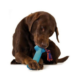 Petstages Orka Kość z sznurem PS230