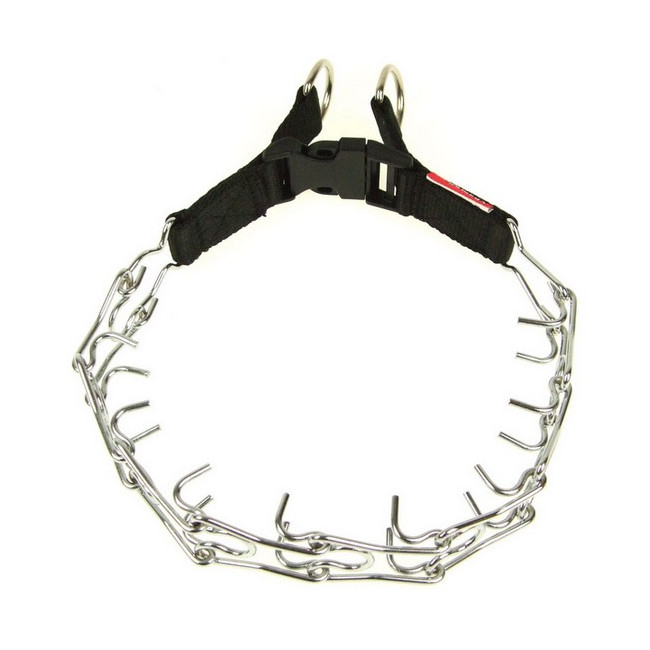 Champion Kolczatka [2T]