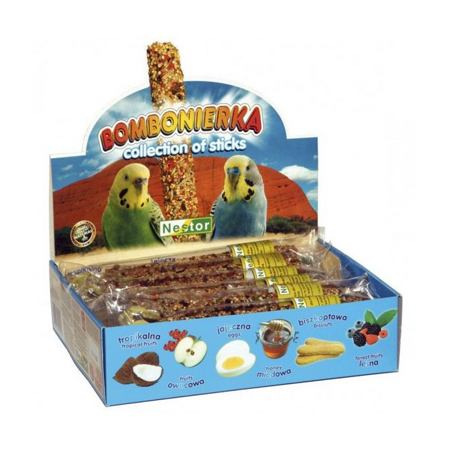 Nestor Bombonierka dla małych papug