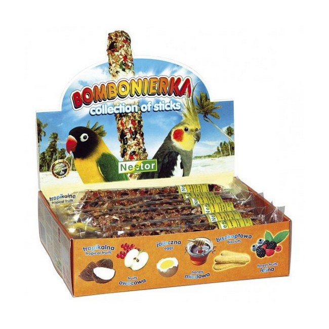 Nestor Bombonierka dla średnich papug
