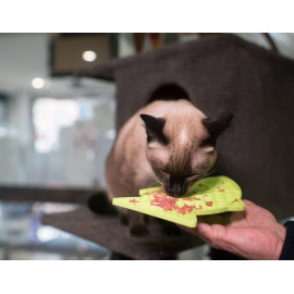 LickiMat Classic Felix Rybka fale miękka zielona